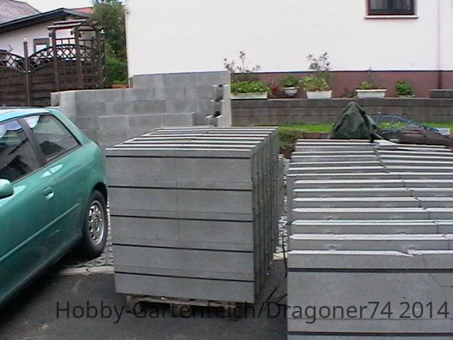 008.JPG