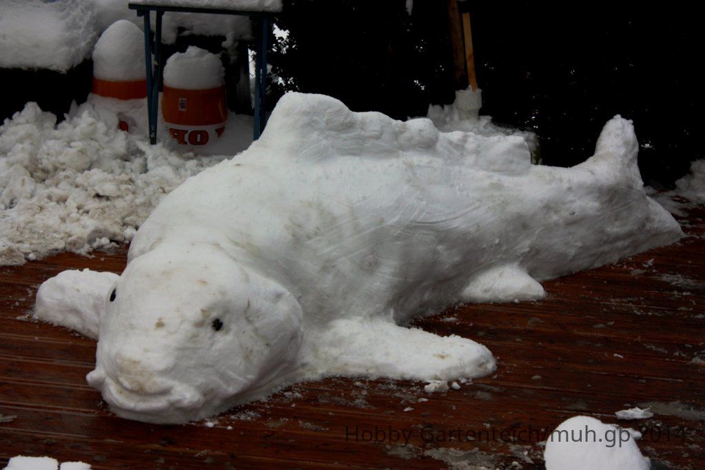 141231 - 2 - Winter-Koi.JPG