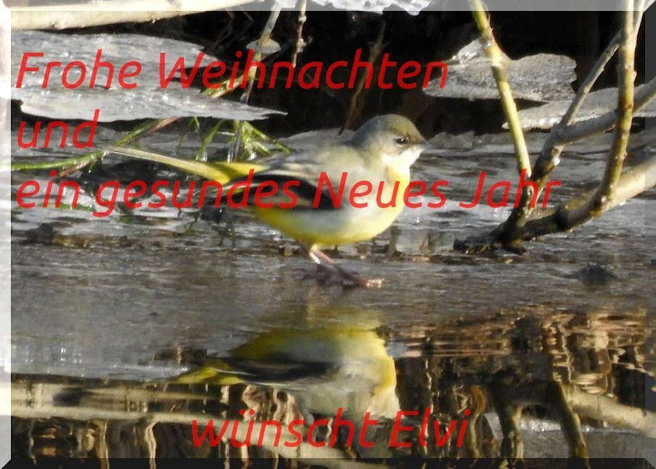 1640239332910.png