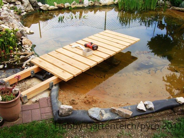 20061104-jpg.88893