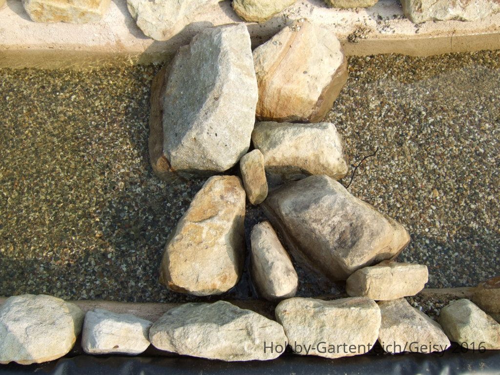 2011_0925Teich0101.JPG