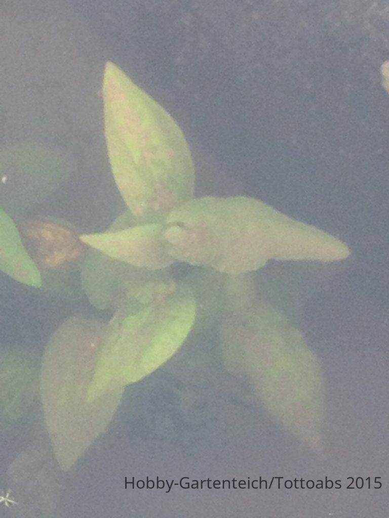 2014.08.30 277.jpg