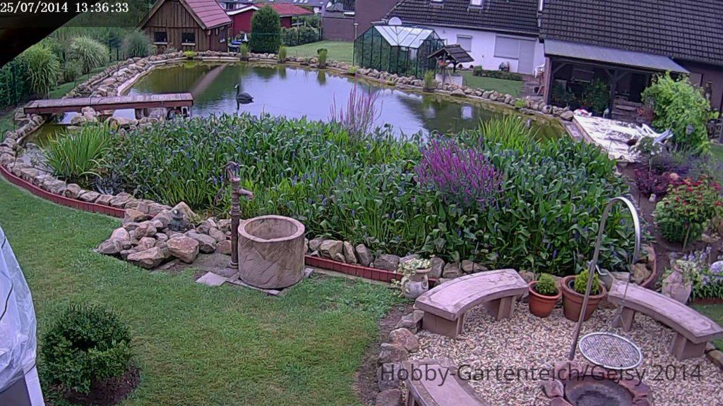 2014-7-25-13-36-47.jpg