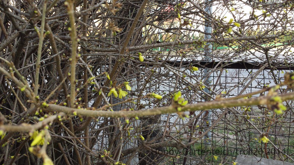 20140302_160159.jpg
