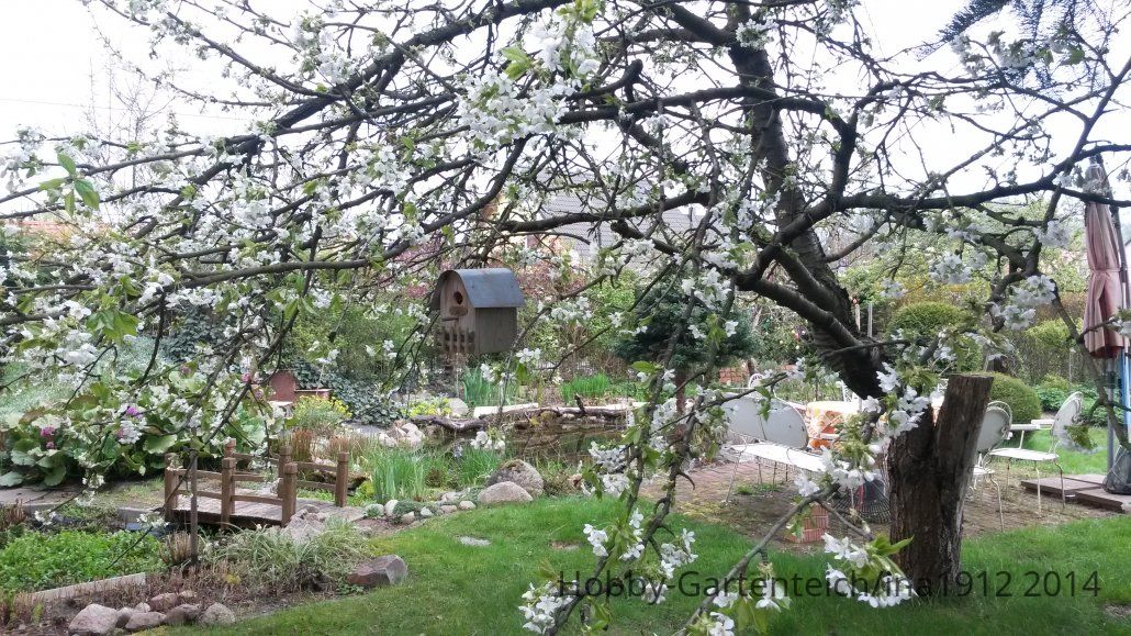 20140412_121300.jpg