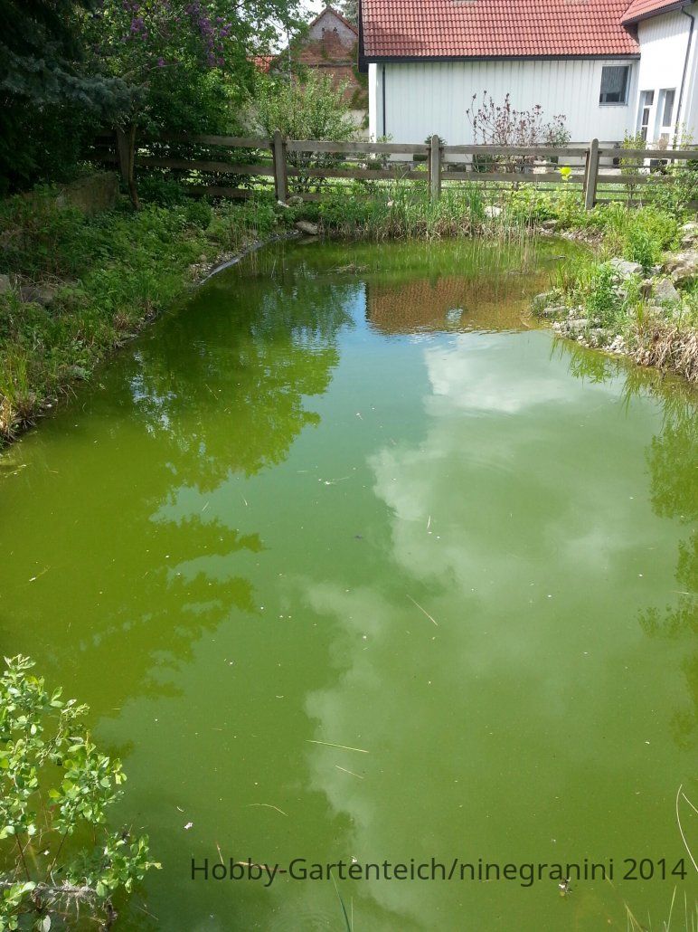 20140503_135619_resized.jpg
