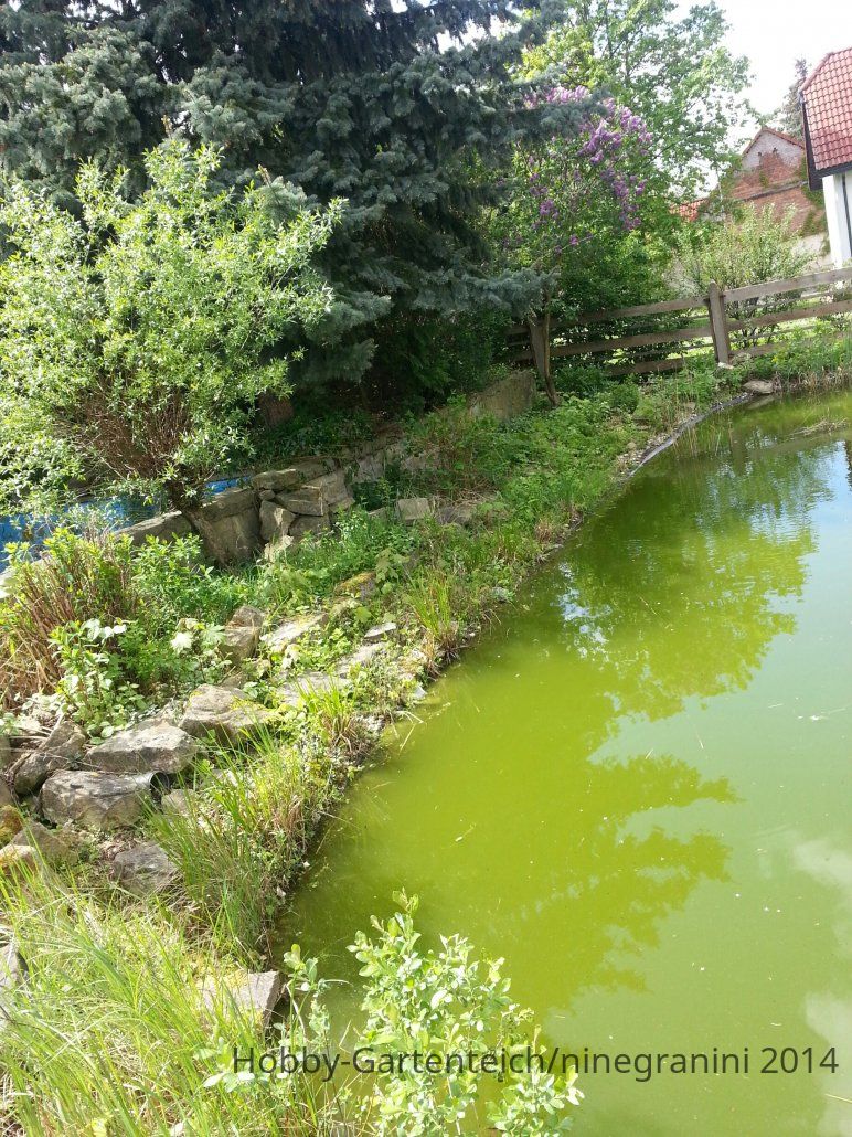 20140503_135623_resized.jpg