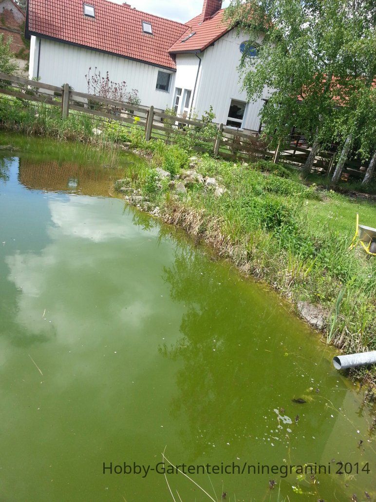 20140503_135628_resized.jpg