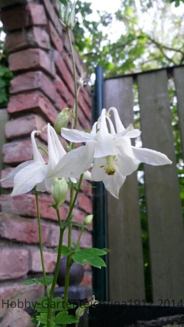 20140526_182120.jpg