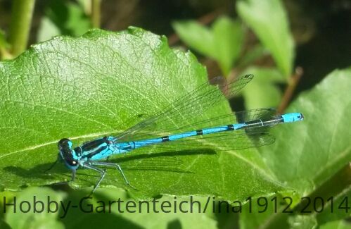 20140604_171519-1.jpg
