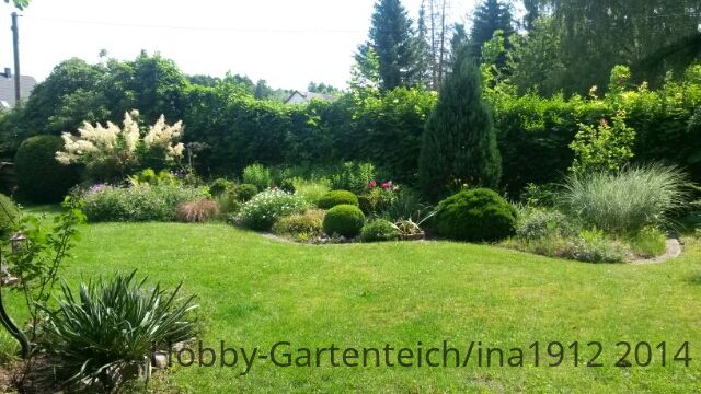 20140609_103126.jpg