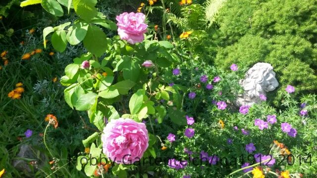 20140609_103204.jpg