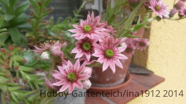 20140611_170655.jpg