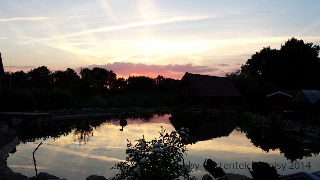 20140612_214539.jpg