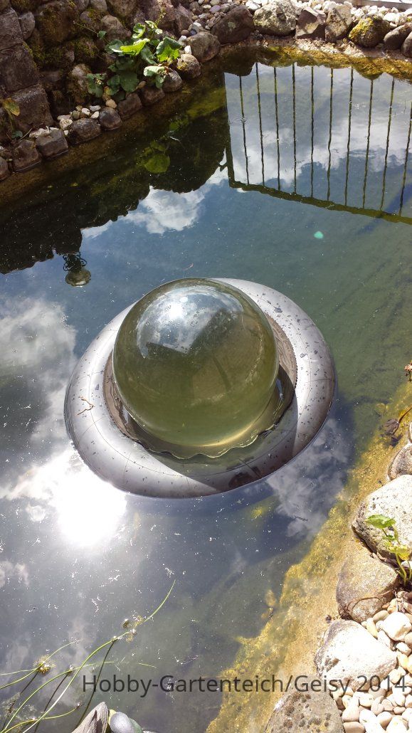 20140613_115205.jpg