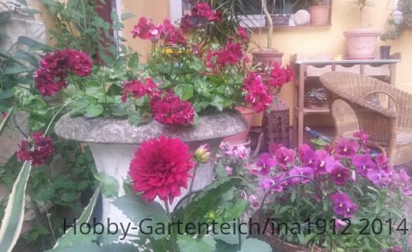 20140616_200441.jpg