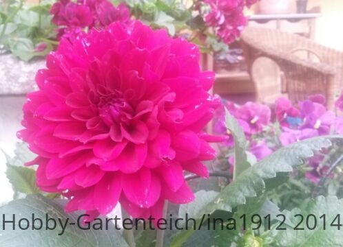 20140616_200452.jpg