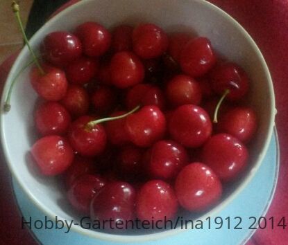 20140616_201451.jpg