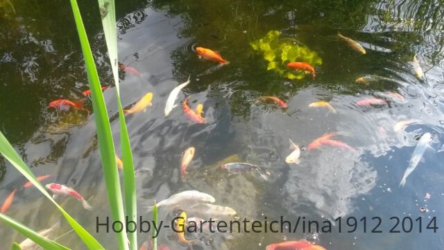 20140617_095750.jpg