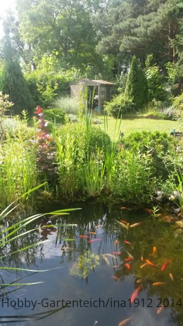 20140617_100251.jpg