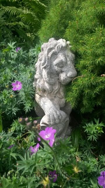 20140617_100509.jpg