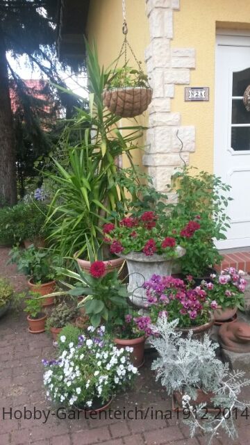 20140617_123010.jpg