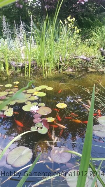 20140617_134829.jpg