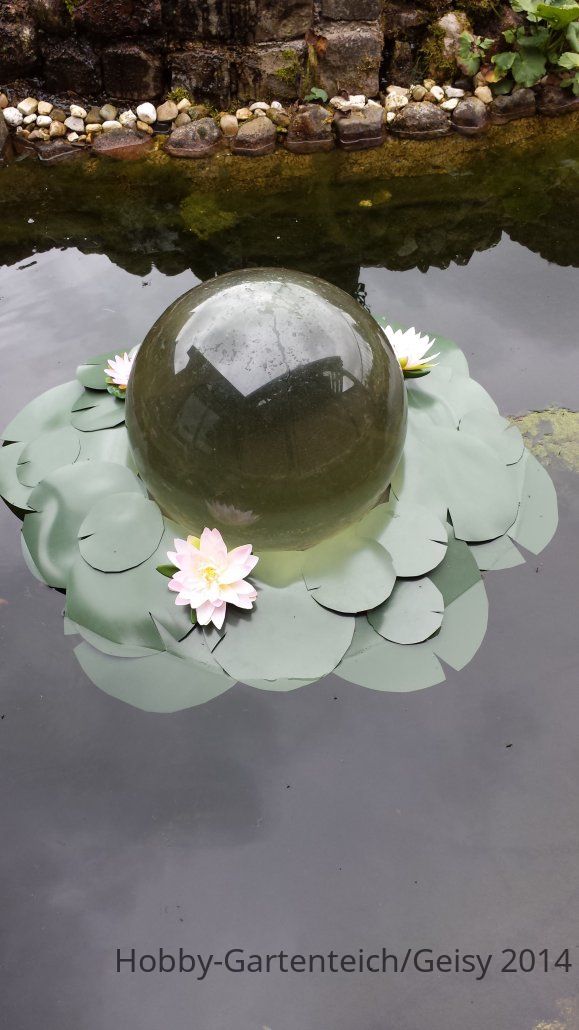 20140618_122146.jpg