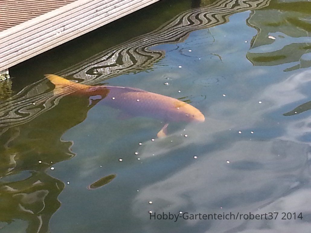 20140620_092149.jpg
