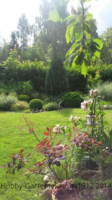20140622_092629_20140625203418159.jpg