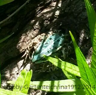 20140626_172741-1-1.jpg