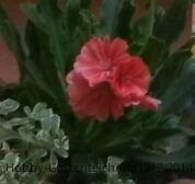 20140630_203131-1.jpg