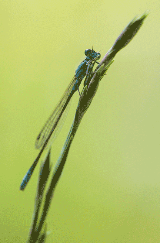 20140702_0122.gif