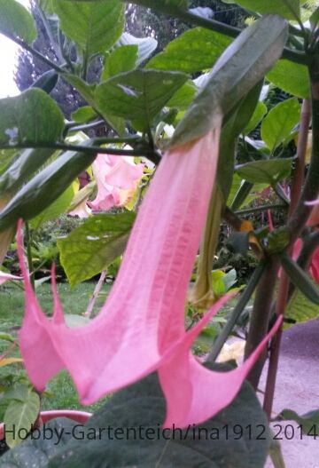 20140728_210145.jpg