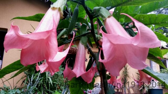 20140730_181211.jpg