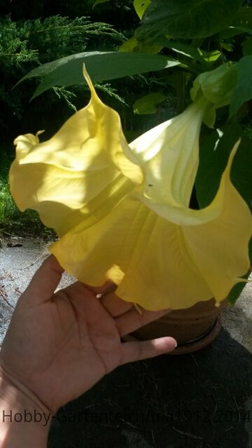 20140731_133018.jpg
