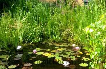 20140802_123025.jpg