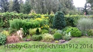 20140815_155453_20140815224854036.jpg