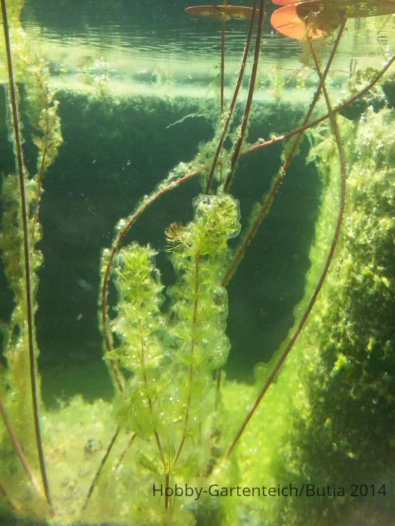 20140823_114241.jpg