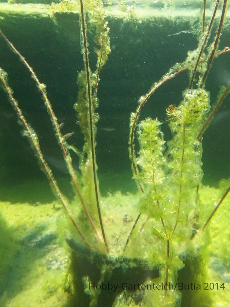 20140823_114312.jpg