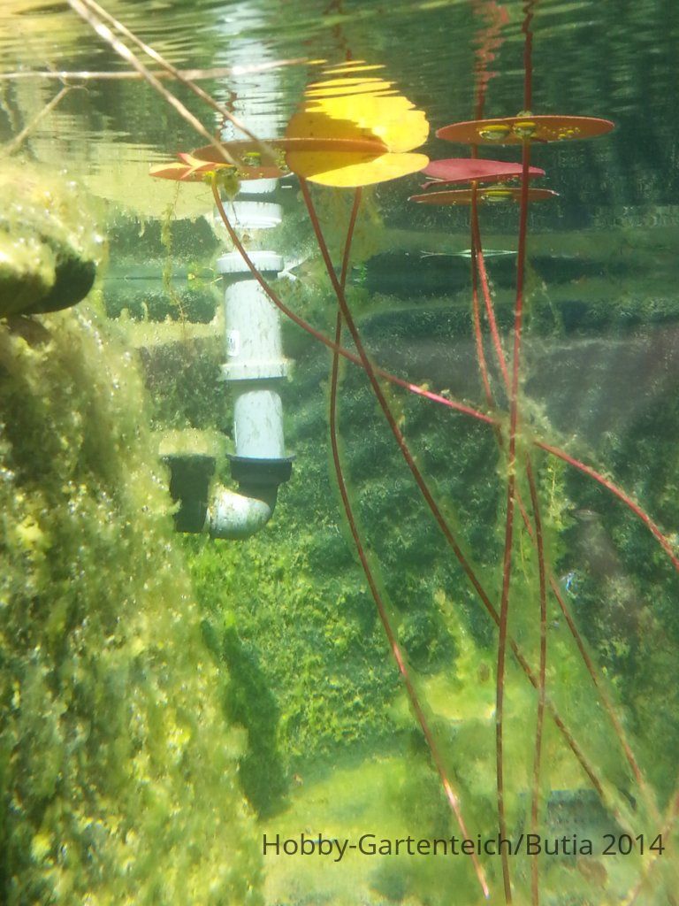 20140823_114411.jpg