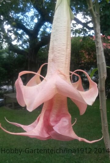 20140824_104342.jpg