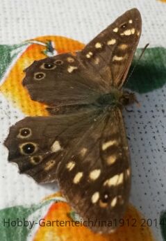 20140907_095007.jpg