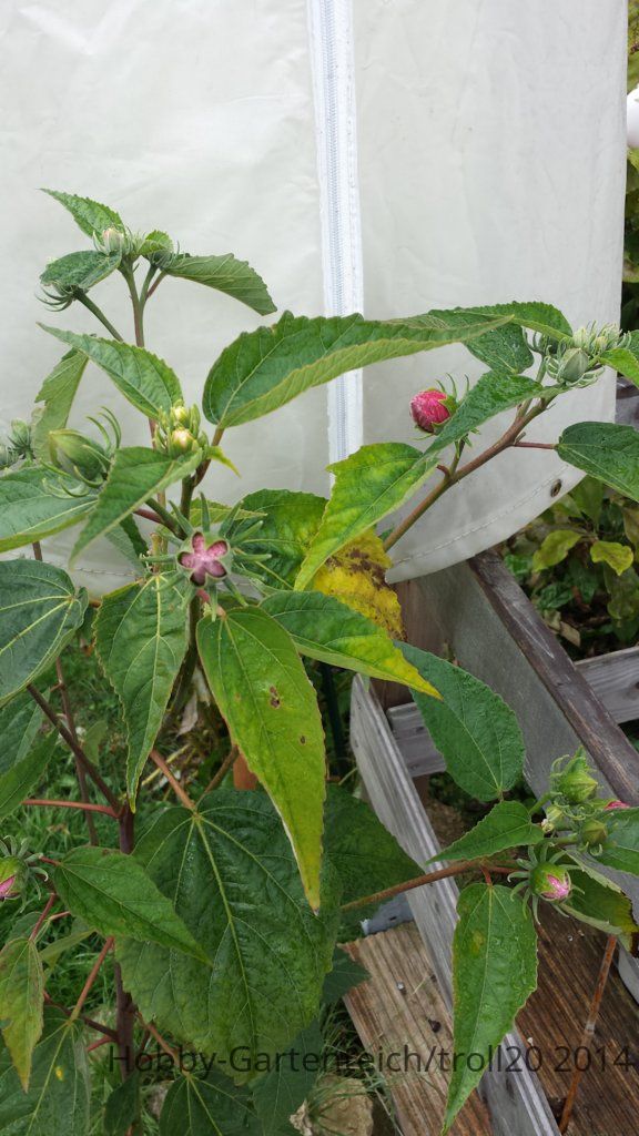 20140910_123717.jpg