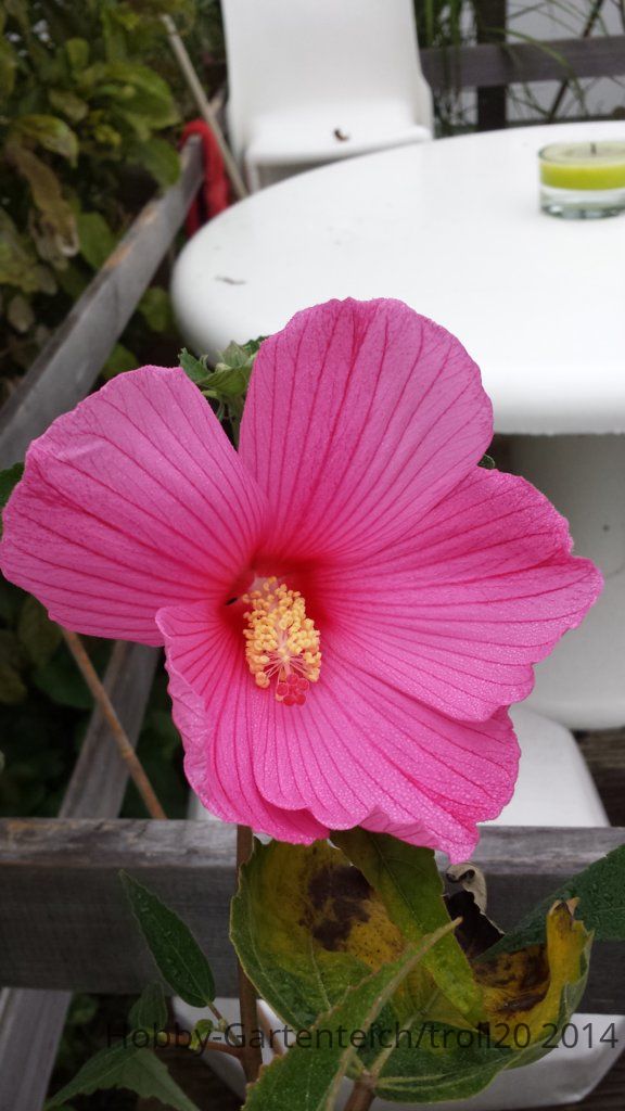 20140913_091232.jpg