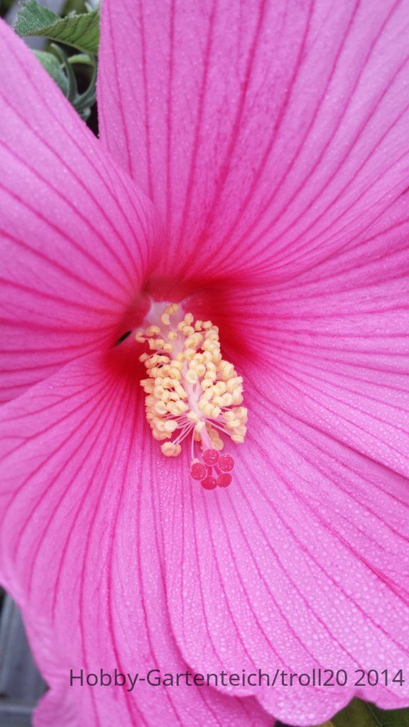 20140913_091240.jpg