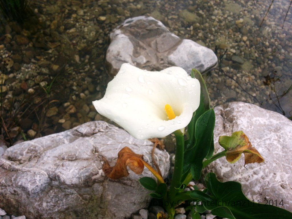20140921_103702.jpg
