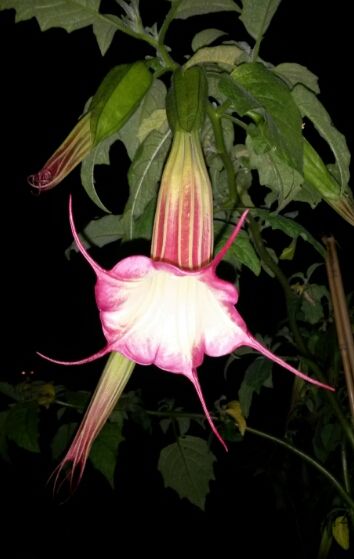 20140929_194511.jpg
