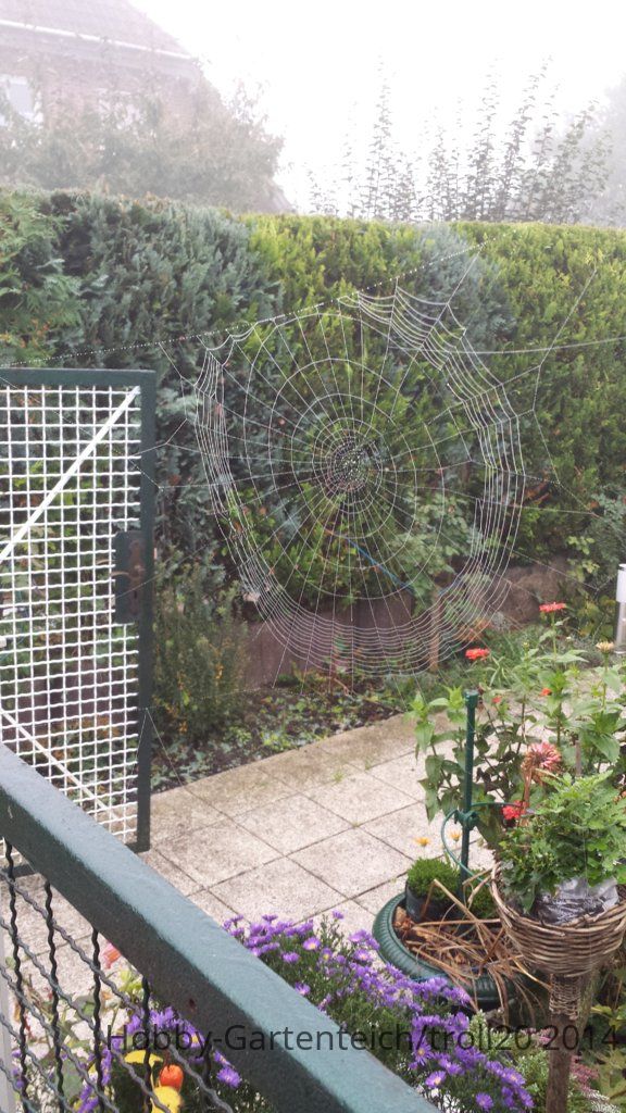 20141001_074134.jpg