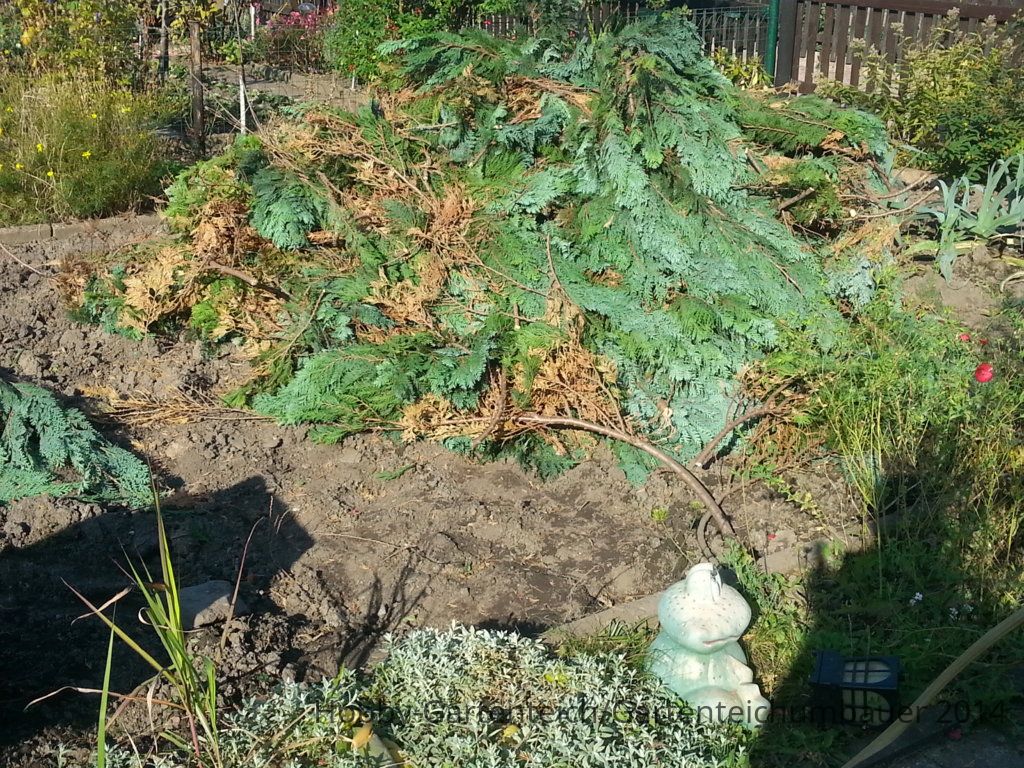 20141004_152620.jpg